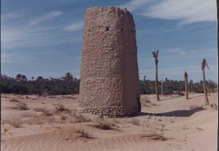 tamezkida