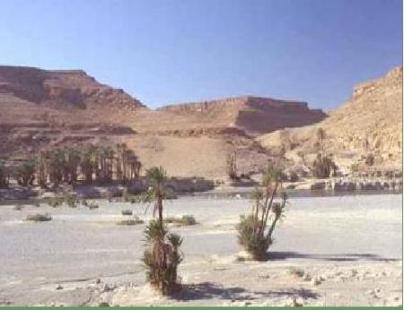 zouzfana