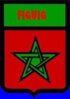 figuig en force