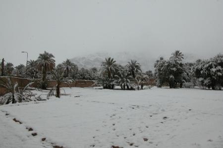 haroun nekhe